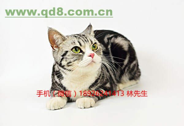 kaiyun网页登录入口