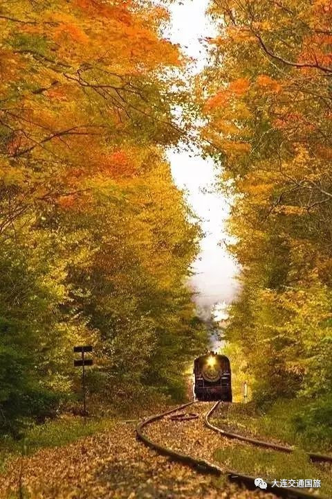 这就是街舞2吴建豪用的按摩器牌子叫啥?让VanNess直呼好舒服“kaiyun开云官方在线登录”(图3) kaiyun网页登录入口