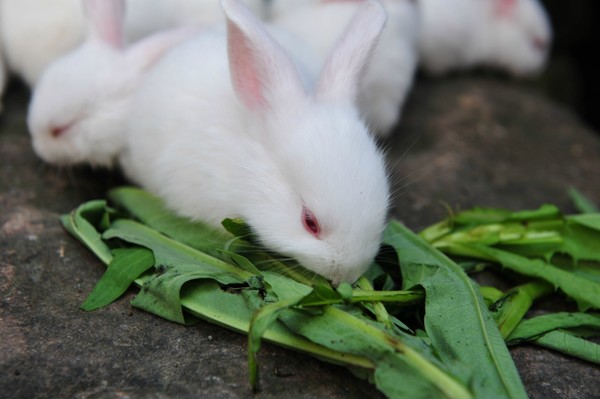 kaiyun开云官方在线登录