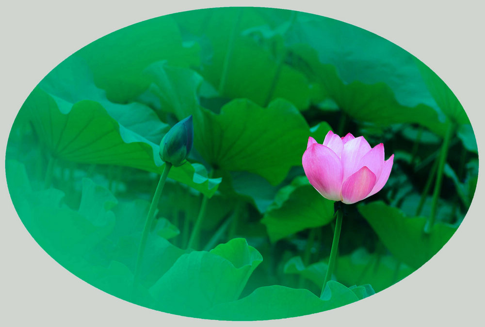 ‘kaiyun开云网页版’马军胜赴上海督导快递旺季服务保障工作(图2) kaiyun开云网页版