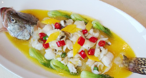 kaiyun网页登录入口