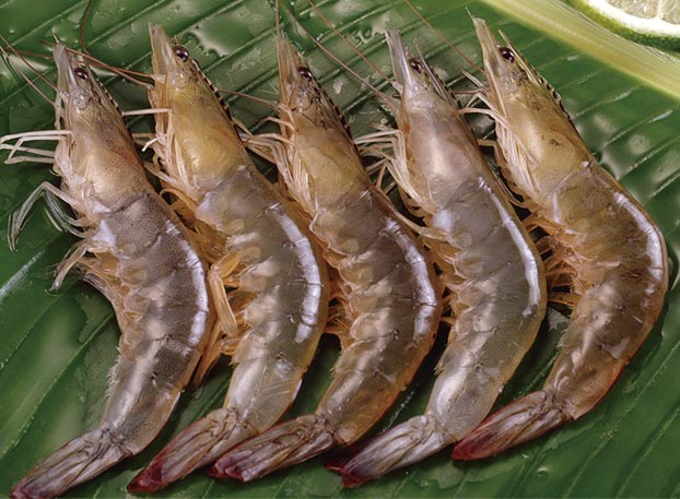 kaiyun开云官方在线登录