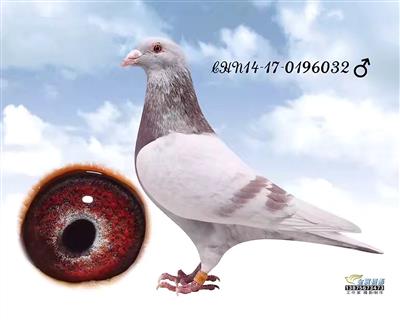 kaiyun网页登录入口