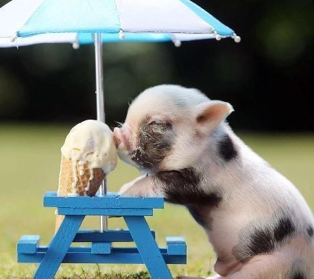 新西游记4最新一期在线观看 新西游记4韩语中字在线观看:kaiyun开云网页版(图3) kaiyun开云网页版