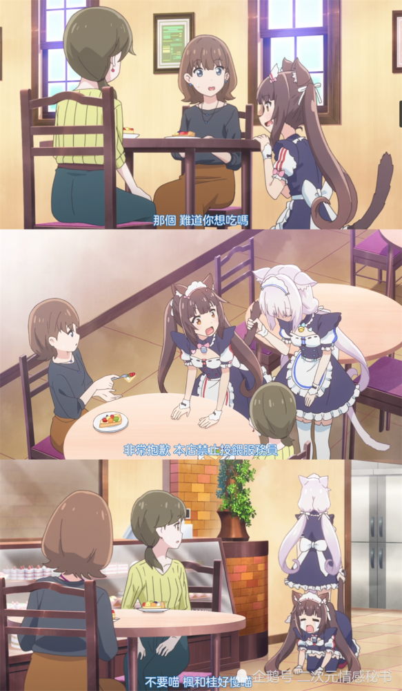 kaiyun网页登录入口