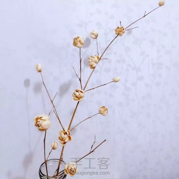 kaiyun开云网页版