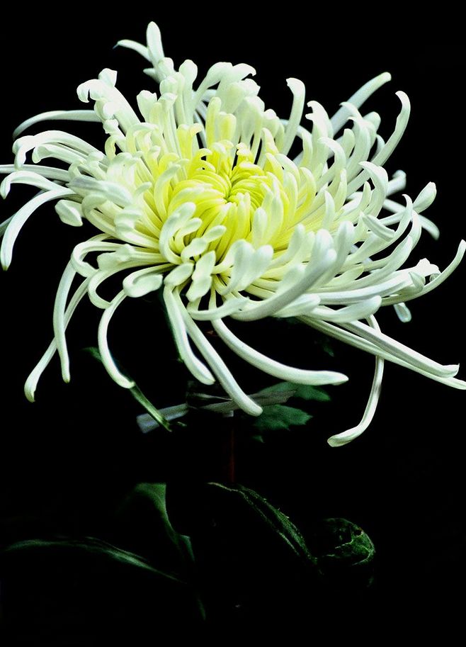 kaiyun开云网页版