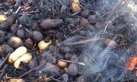 kaiyun开云官方在线登录