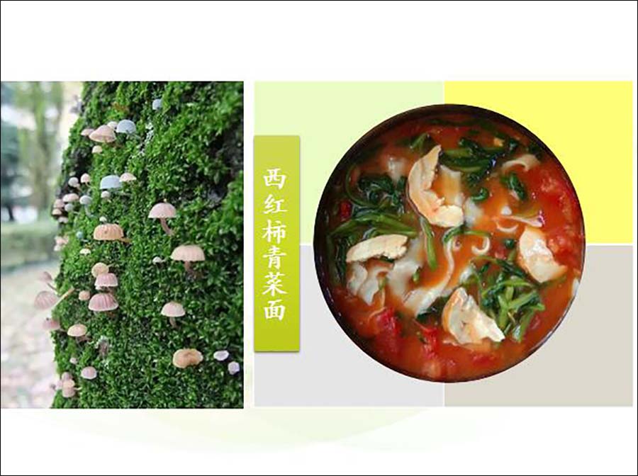 kaiyun开云网页版:快乐大本营歌手专场延播是真的吗?为什么会延播?(图2) kaiyun开云官方在线登录