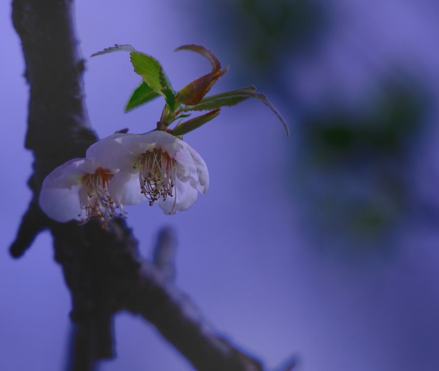 33元做了顿晚餐 老公晒照发朋侪圈 婆婆表现心疼 老妈给我打钱【kaiyun开云网页版】(图8) kaiyun网页登录入口