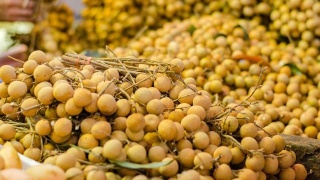 快递十年,顺丰、“三通一达”如何逆袭为王?“kaiyun开云网页版”(图1) kaiyun网页登录入口