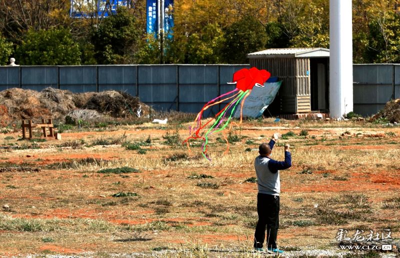 下一站传奇女队中连败魔咒,下一站她俩谁离场可能最大?‘kaiyun开云网页版’(图2) kaiyun开云官方在线登录
