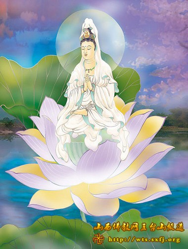 “kaiyun开云官方在线登录”
<h1>金维诺:真正的学术摆渡人(图3) kaiyun开云官方在线登录