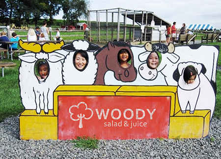 kaiyun网页登录入口