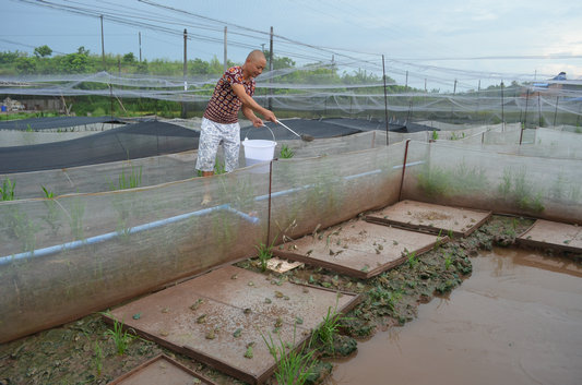 kaiyun网页登录入口