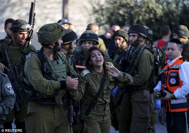 kaiyun网页登录入口