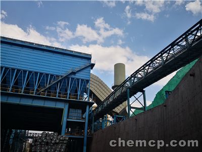 不可思议的妈妈如何带娃 何洁带娃温柔而又坚定|kaiyun开云网页版(图3) kaiyun开云官方在线登录