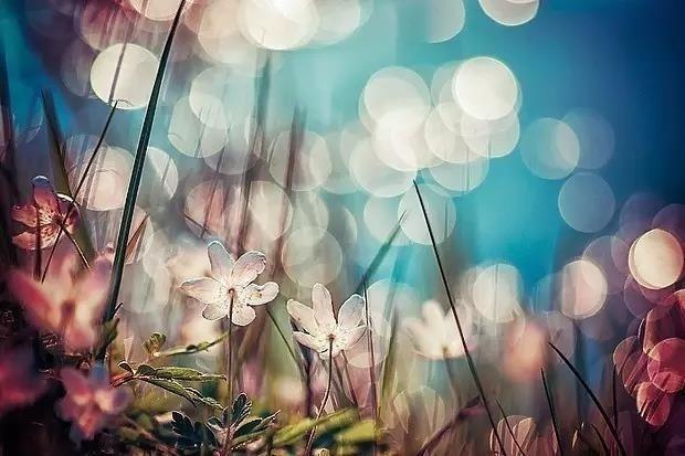 kaiyun网页登录入口