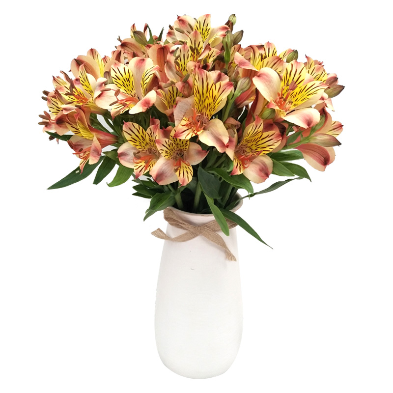 “kaiyun开云网页版”布局农村物流网络不只是快递那么简单(图1) kaiyun网页登录入口