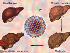 kaiyun开云网页版_截图也成艺术品:放eBay拍出9万美元高价(图2) kaiyun网页登录入口