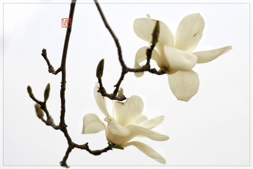 kaiyun网页登录入口