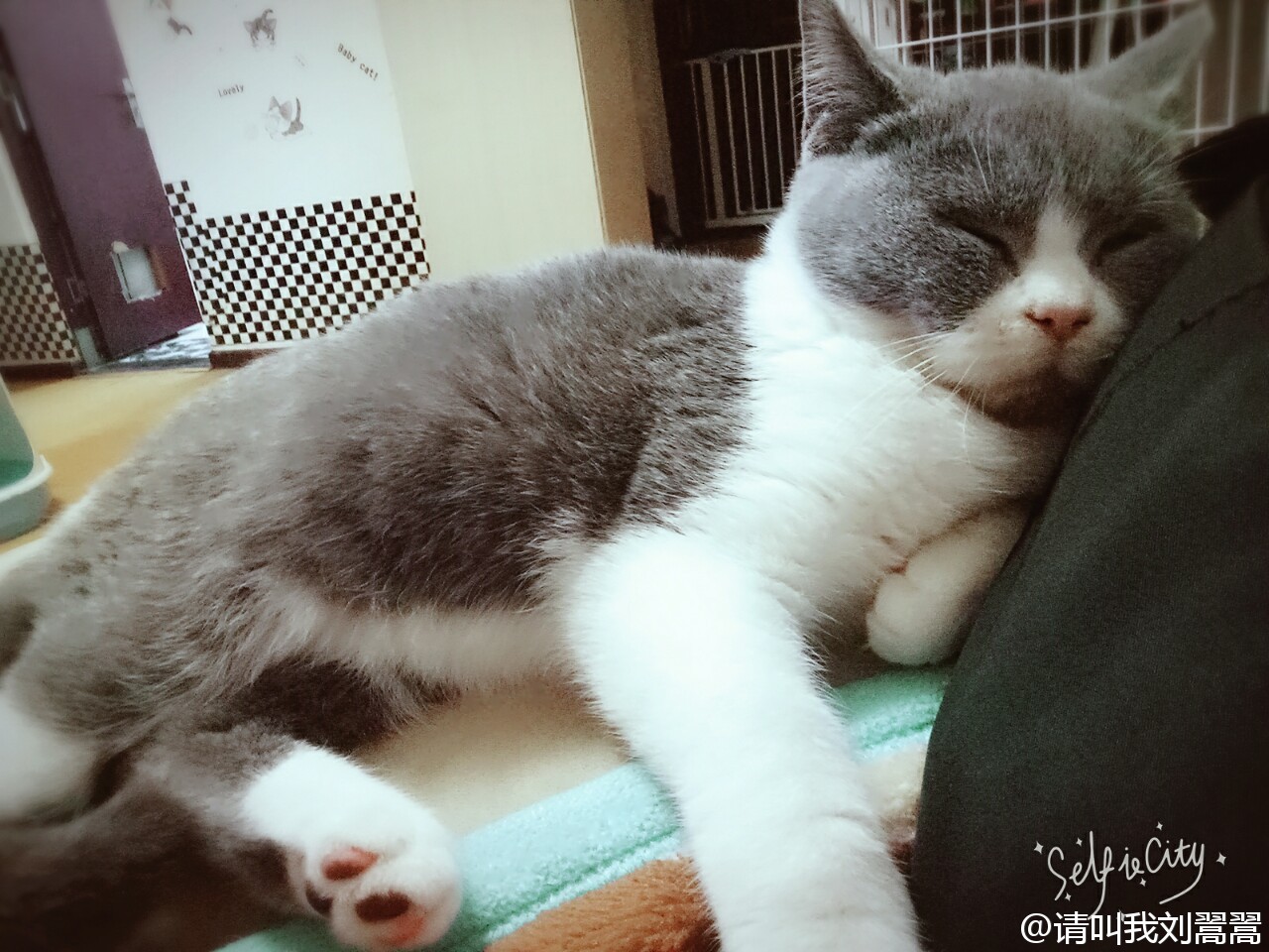 kaiyun开云官方在线登录