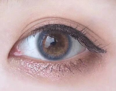 kaiyun开云官方在线登录