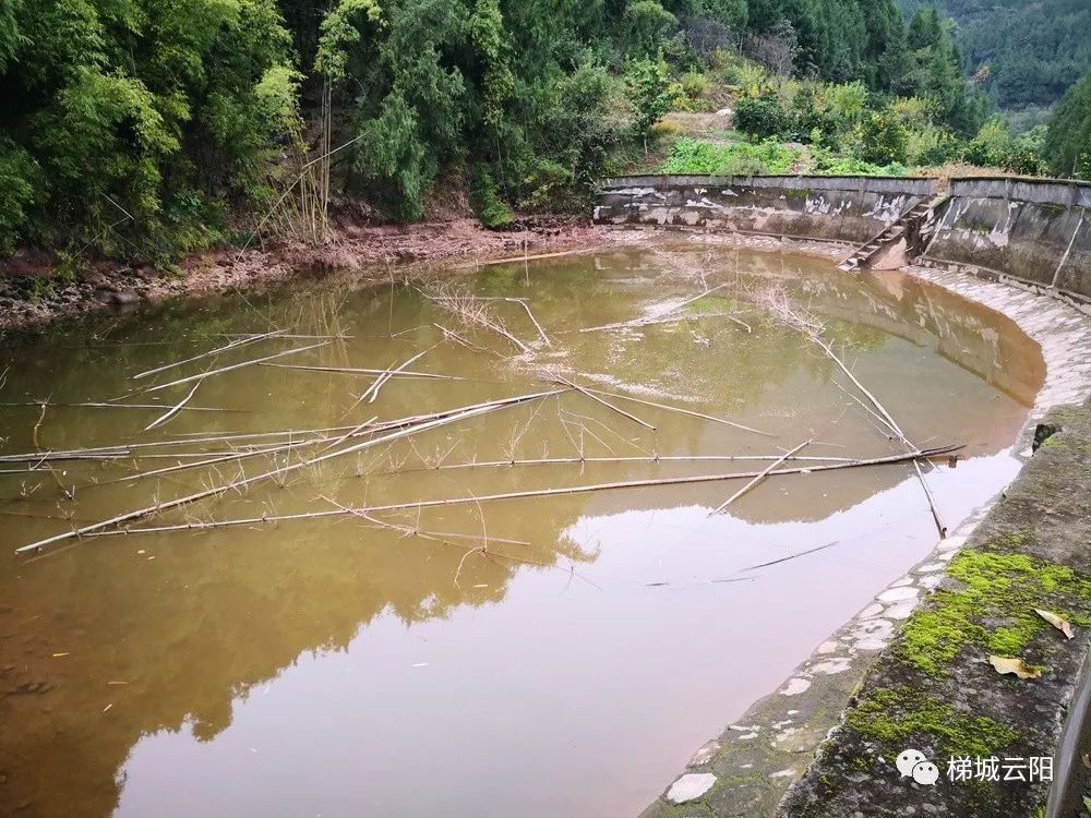 南红玛瑙降温普通玛瑙玉髓成新宠作者:未知2014-09-1214:20:02来源:中国艺术网翡翠、和田玉被热炒多年,价格:kaiyun网页登录入口(图2) kaiyun开云官方在线登录