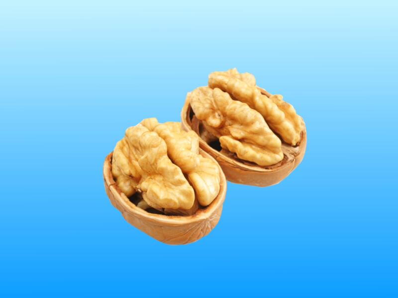 kaiyun开云网页版