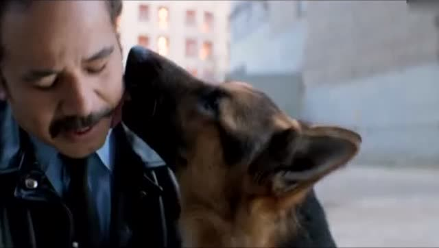 kaiyun开云官方在线登录