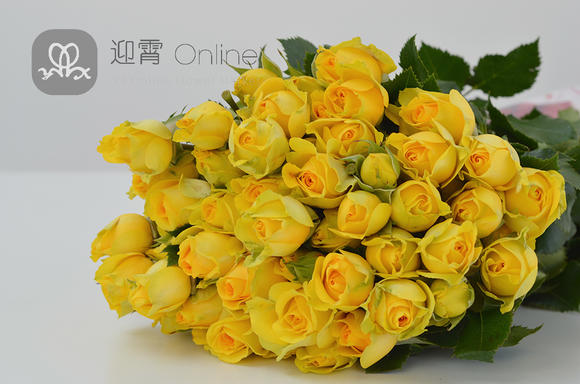 kaiyun开云官方在线登录