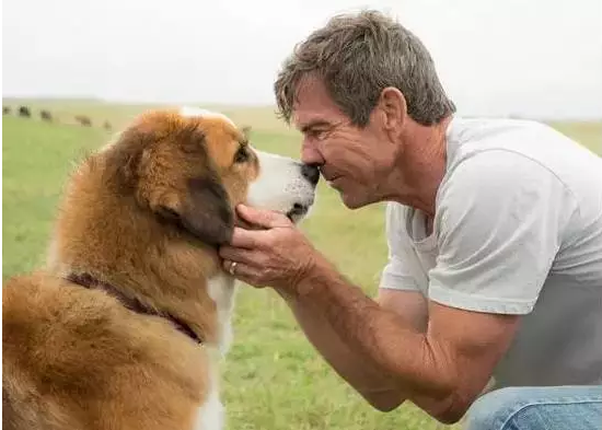 kaiyun开云官方在线登录