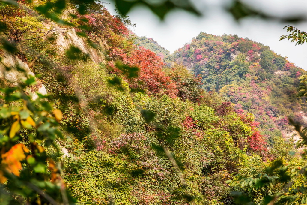 kaiyun开云官方在线登录