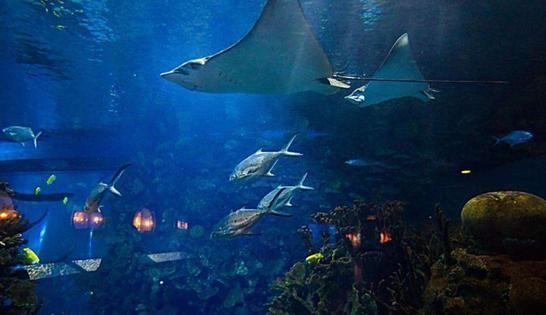 kaiyun开云官方在线登录