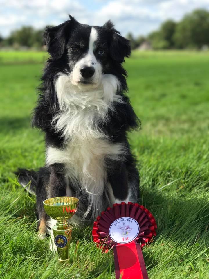 kaiyun网页登录入口:《富春山居图》鲜为人知的秘密作者:未知2013-09-1710:04:34来源:新浪收藏 2011年6月1日,黄公望的代(图3) kaiyun网页登录入口