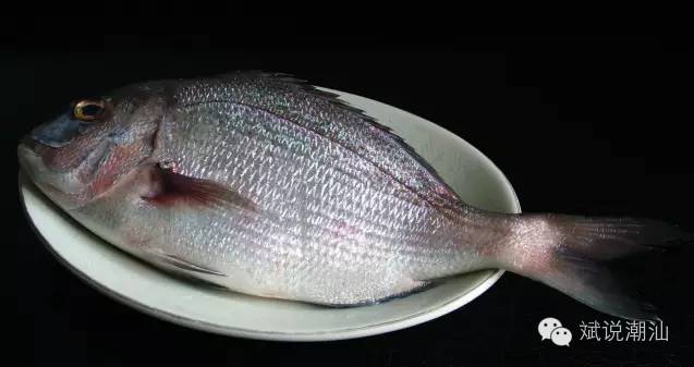 ‘kaiyun网页登录入口’
《一见倾心》阵容首发 陈星旭张婧仪林彦俊陈欣予等人剧照宣布!(图7) kaiyun开云网页版