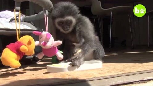 2016纽约与伦敦春拍:喜忧参半调整持续‘kaiyun网页登录入口’(图1) kaiyun开云官方在线登录