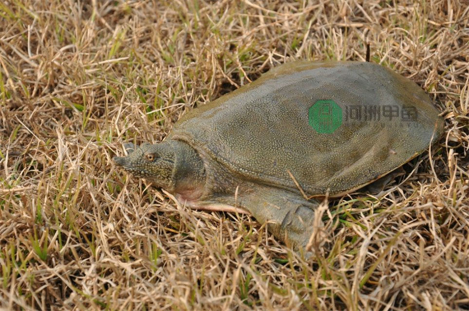 kaiyun开云官方在线登录