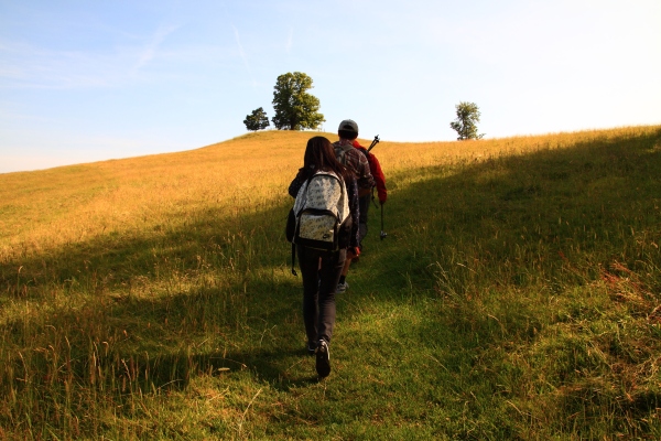 银魂真人版最新剧照曝光 小栗旬饰演坂田银时【kaiyun开云官方在线登录】(图4) kaiyun开云网页版
