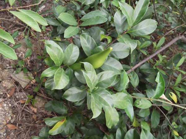 kaiyun网页登录入口