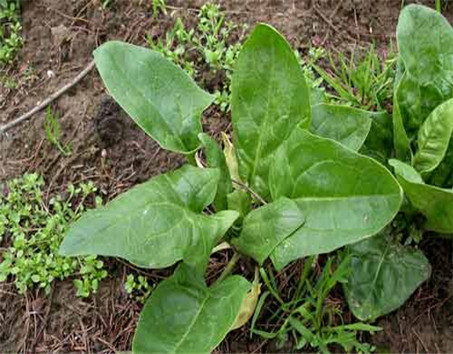 kaiyun开云官方在线登录