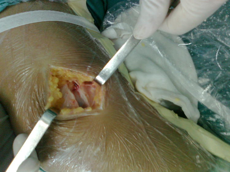 kaiyun开云官方在线登录