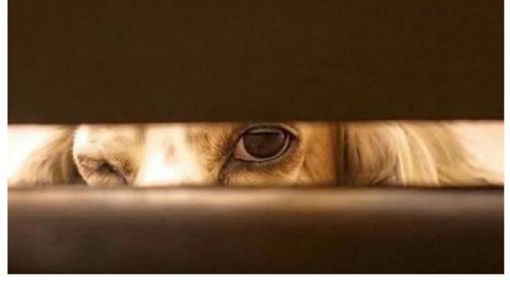 kaiyun开云网页版