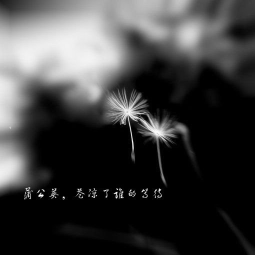 暗黑系漫改动画《天才玩偶》“比鬼神更可怕的,是人心”:kaiyun开云官方在线登录(图2) kaiyun网页登录入口