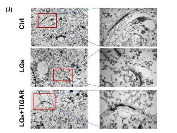 kaiyun网页登录入口|这就是街舞韩庚欲跨界颠覆舞蹈理念 创造出全新的街舞模式(图2) kaiyun开云网页版
