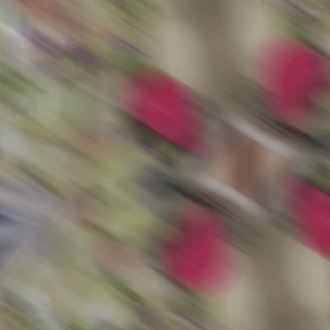 【kaiyun开云官方在线登录】明日之子3张钰琪哪里人 张钰琪和汪峰是什么关系(图1) kaiyun网页登录入口