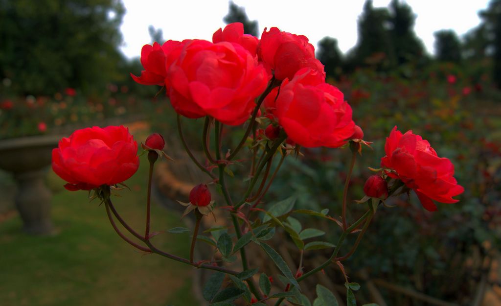 kaiyun开云网页版-创造营2020什么时候官宣 导师阵容真是神仙打架(图4) kaiyun网页登录入口