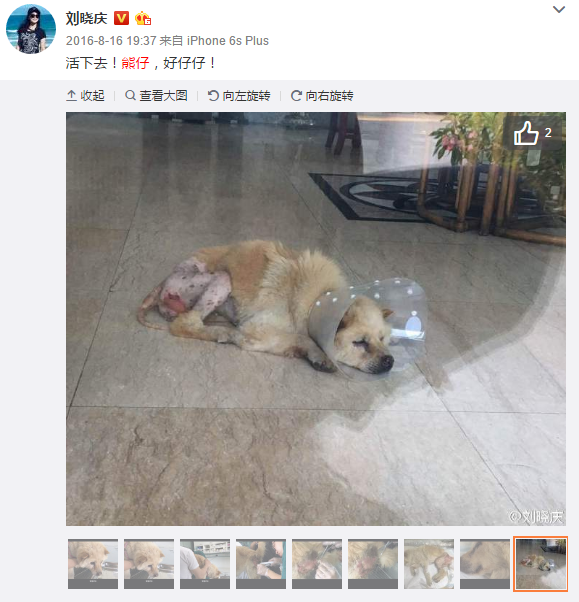 kaiyun网页登录入口