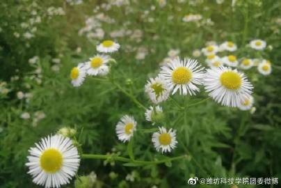 kaiyun开云官方在线登录