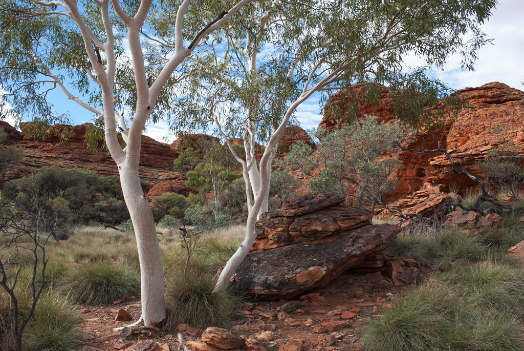 kaiyun开云官方在线登录
